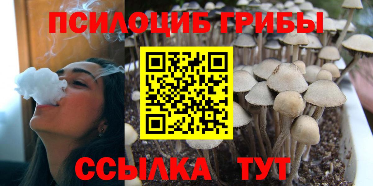 Галлюциногенные грибы MAGIC MUSHROOMS  Вход с VPN  магазин    Мирный 