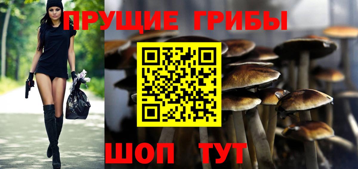 Псилоцибиновые грибы мицелий Мирный